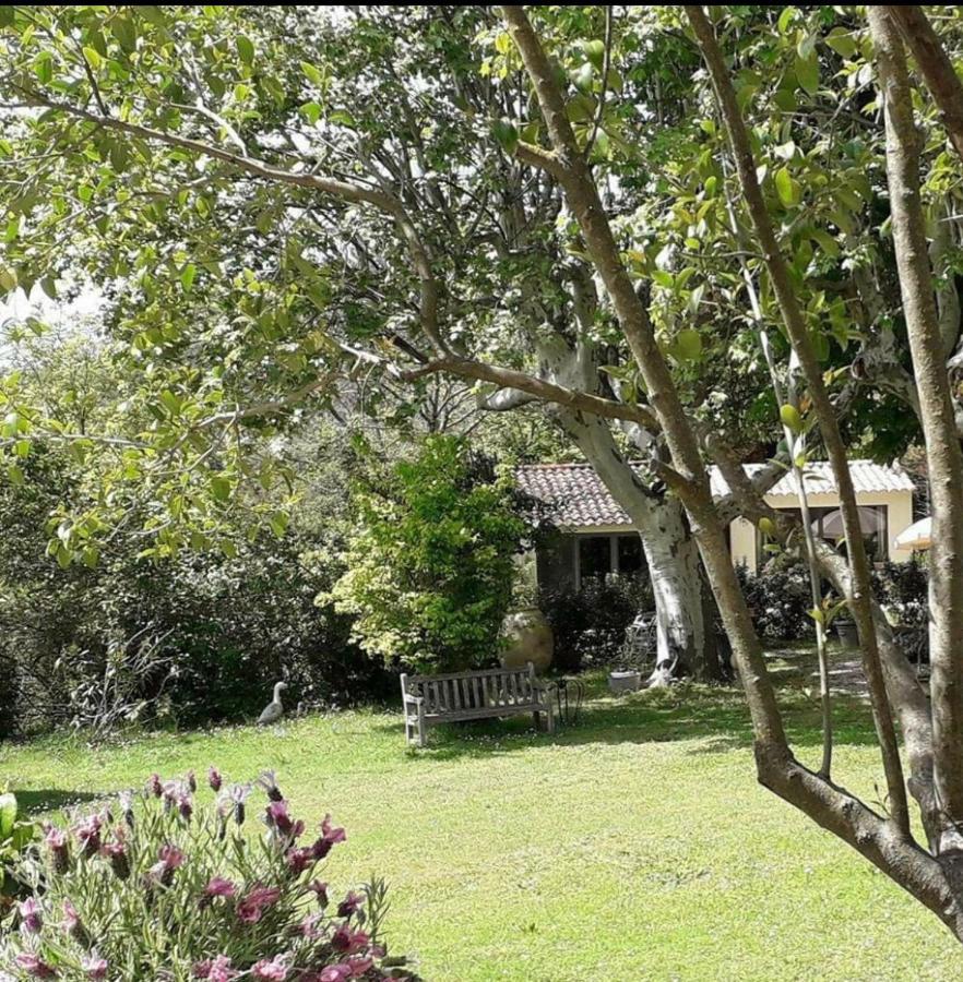 Le Mas Des Anges De Flo Hotell Aix-en-Provence Exteriör bild