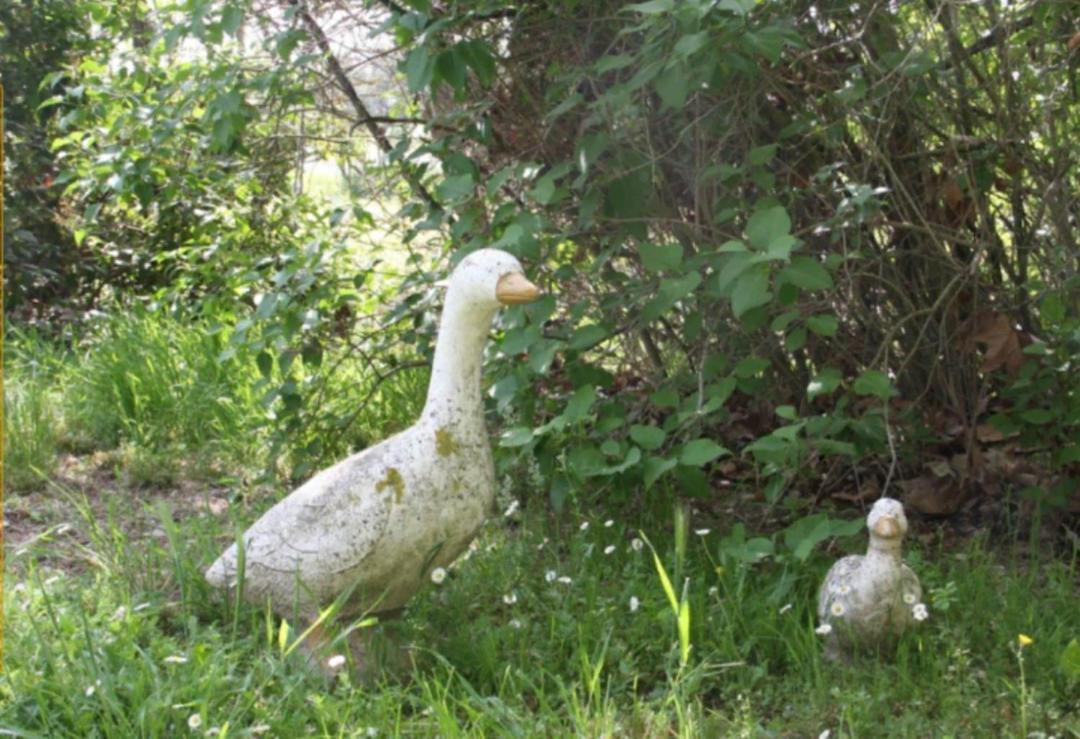 Le Mas Des Anges De Flo Hotell Aix-en-Provence Exteriör bild